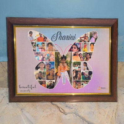 Frame Butterfly